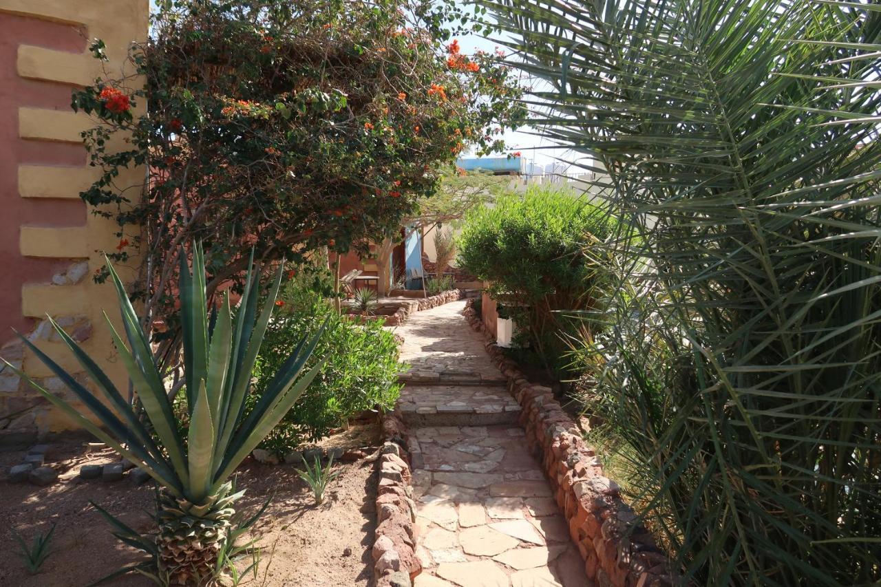 Bedouin Moon Village - Aqaba Al Burj Εξωτερικό φωτογραφία